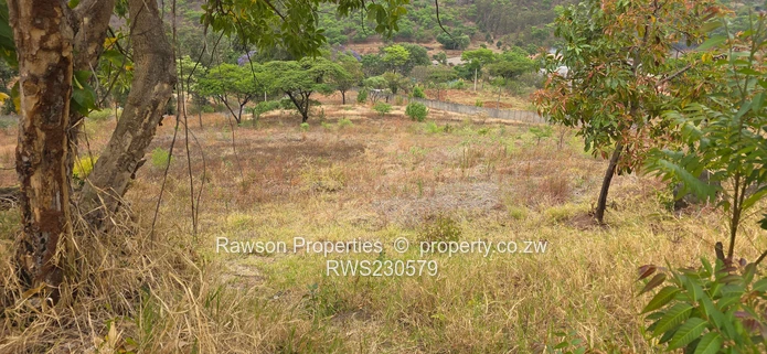 Superb opportunity in Philadelphia 