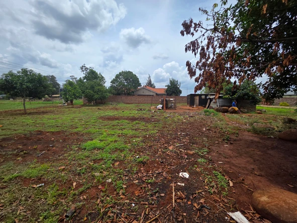 Stands & Residential Land