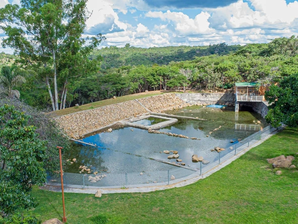 Farm & Agricultural Land