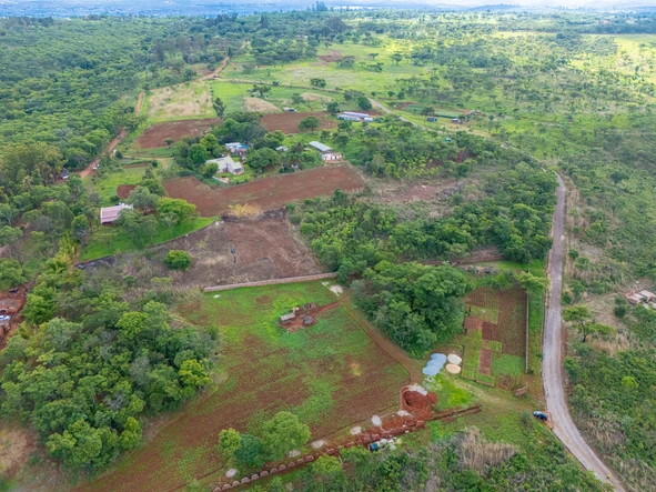 Farm & Agricultural Land