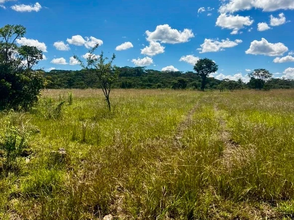 Farm & Agricultural Land