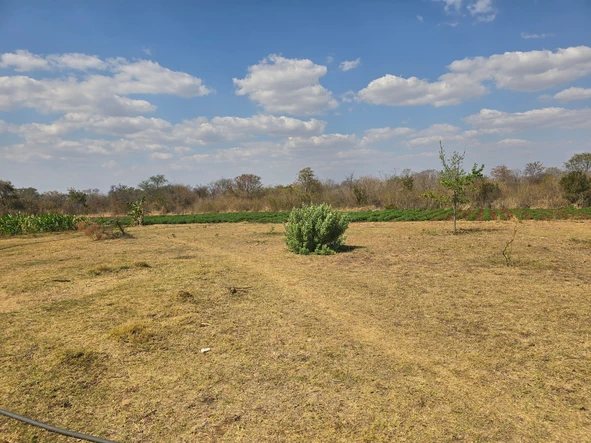 Farm & Agricultural Land
