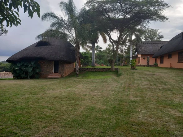 Farm & Agricultural Land