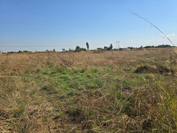 Stands & Residential Land