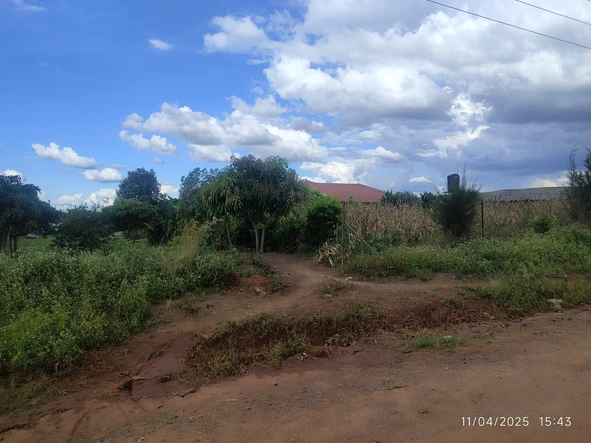 Farm & Agricultural Land