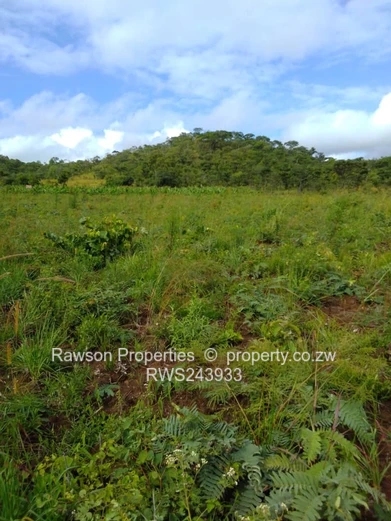 6 Hactare Plot in Bindura!!