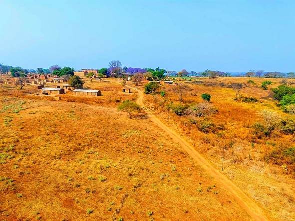 Farm & Agricultural Land