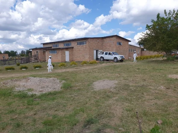 Shop & Retail Property