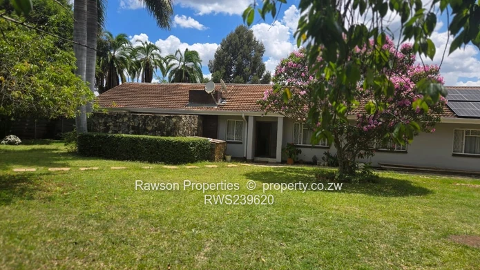 New Mandate - Vainona Gem