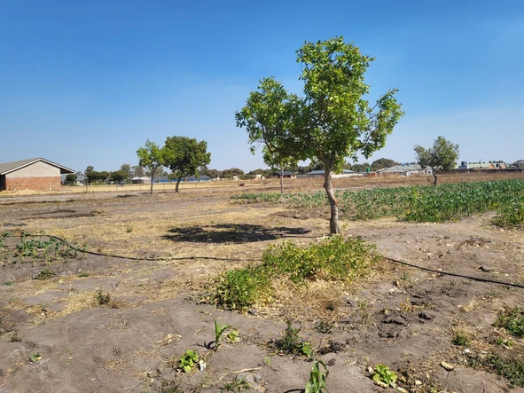 Farm & Agricultural Land