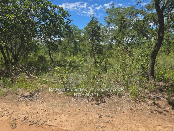 6.7ha Bindura Farm - In Mashonaland Central Province!!
