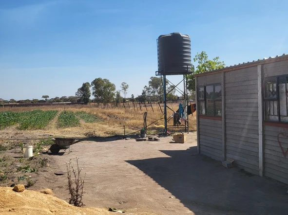 Farm & Agricultural Land