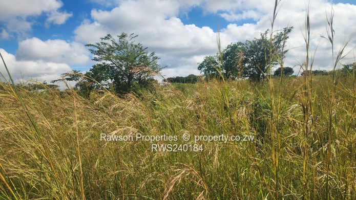 Subdivision  4.2 hectares pegged , road done  fully serviced  ideal for.all.farming activities 