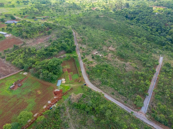 Farm & Agricultural Land