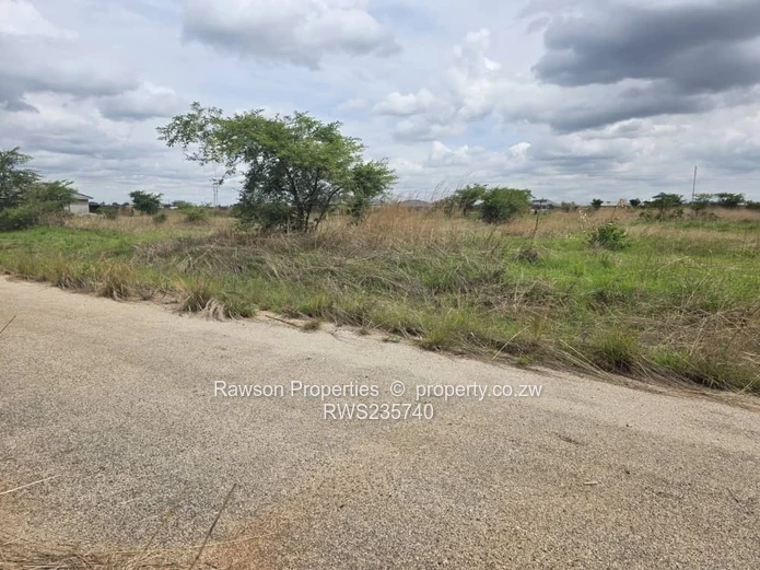 Investment opportunity!