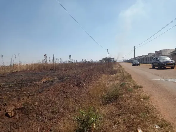 Stands & Residential Land