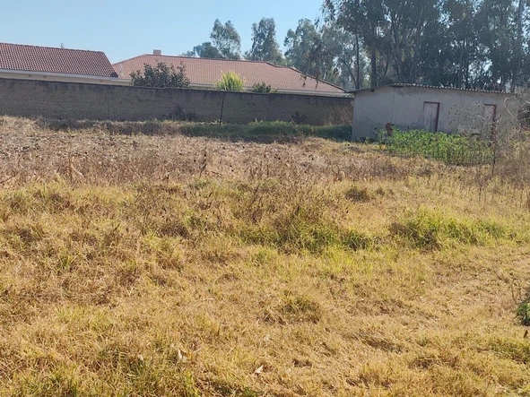 Commercial Property