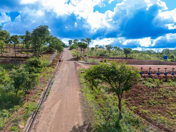 Farm & Agricultural Land