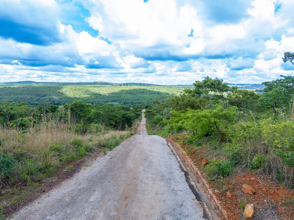 Farm & Agricultural Land