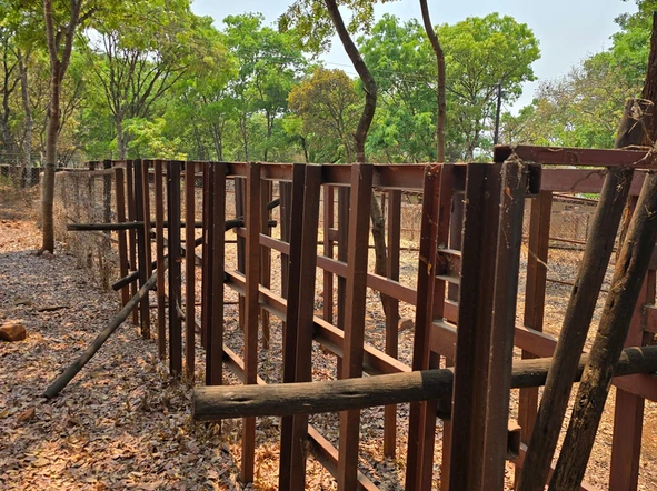 Farm & Agricultural Land