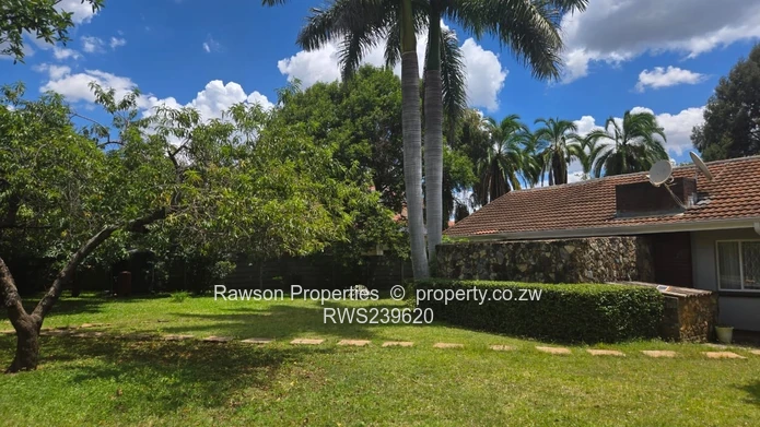 New Mandate - Vainona Gem