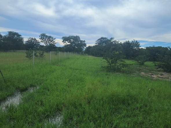 Prime 50 Hectare Farm Land for Sale in Kadoma, Zimbabwe