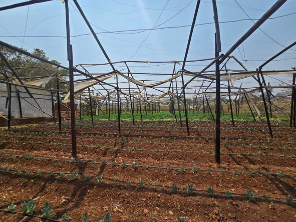 Farm & Agricultural Land