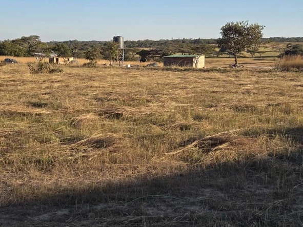 Stands & Residential Land