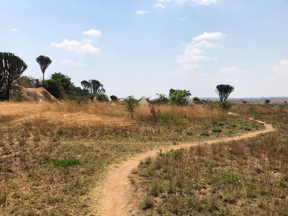 Farm & Agricultural Land