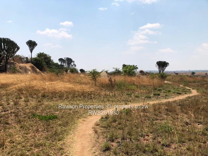 Agro residenial plot  (Sole Mandate)
