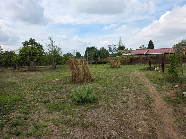 Stands & Residential Land