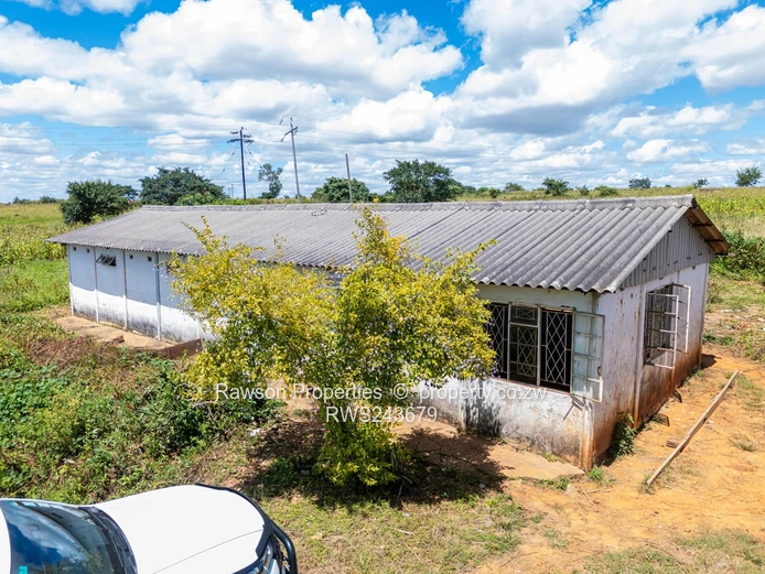 New on the market 