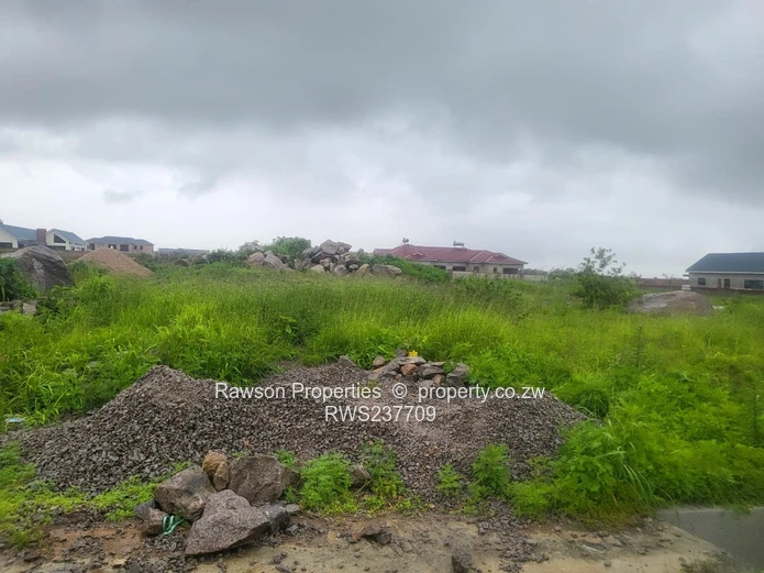 Investment opportunity 