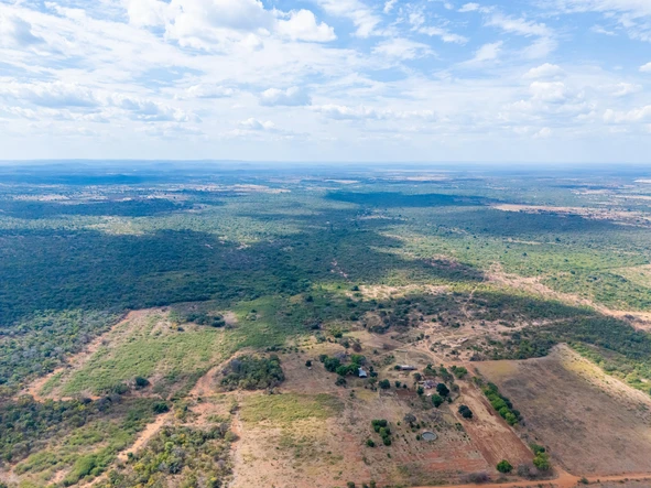 Farm & Agricultural Land