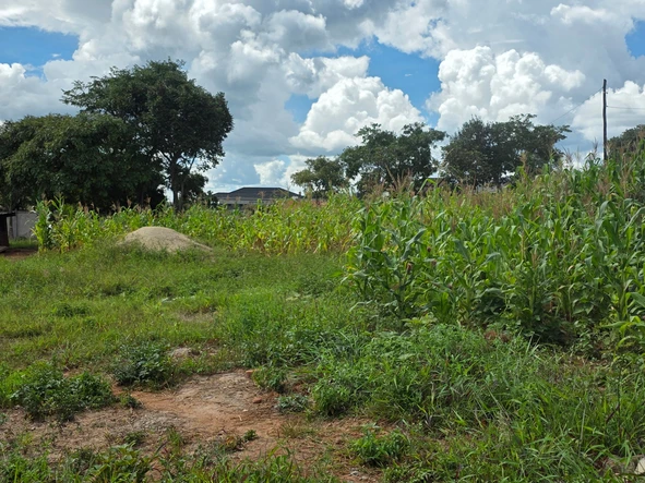 Stands & Residential Land
