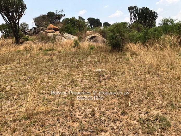Agro residenial plot  (Sole Mandate)