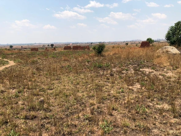 Farm & Agricultural Land