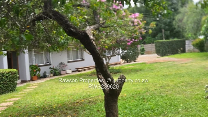 New Mandate - Vainona Gem