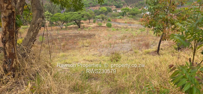 Superb opportunity in Philadelphia 