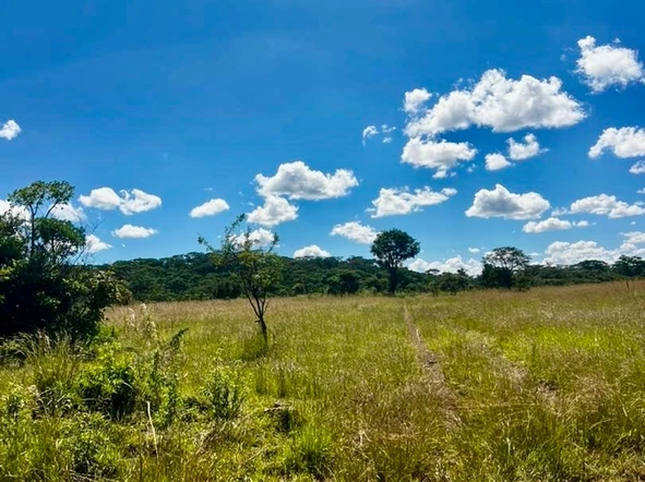 Farm & Agricultural Land