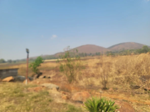 Farm & Agricultural Land