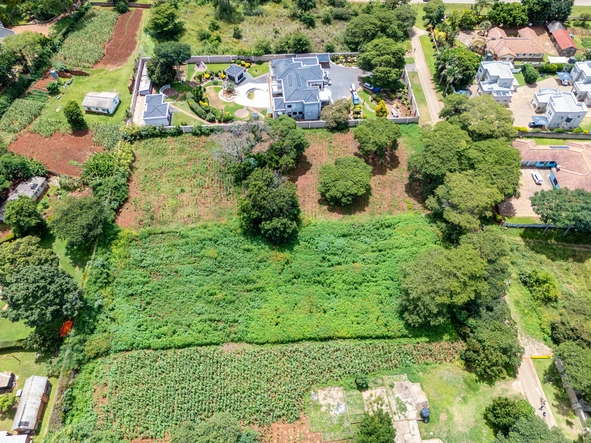 Stands & Residential Land