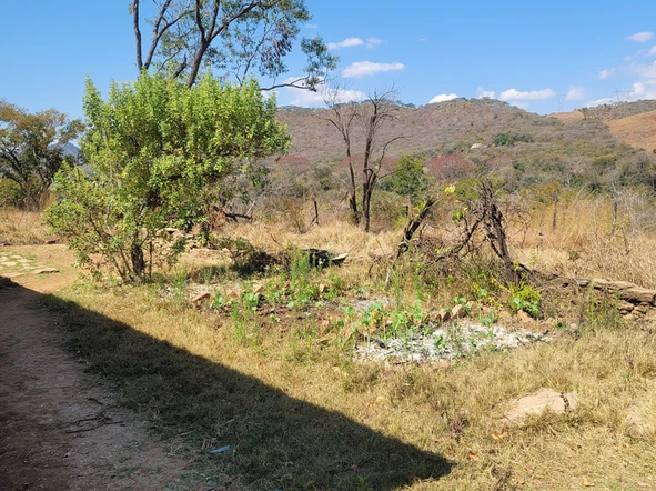 Farm & Agricultural Land