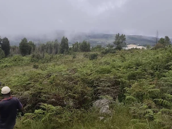 Farm & Agricultural Land