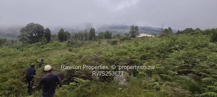 Nyanga plot for sale (Sole Mandate)