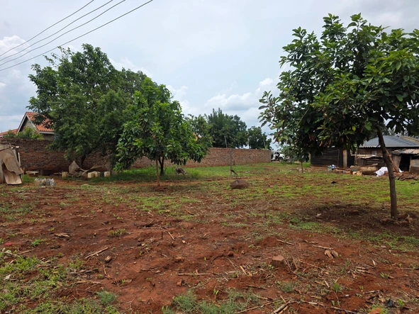 Stands & Residential Land