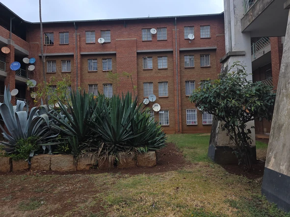 Flat & Apartment