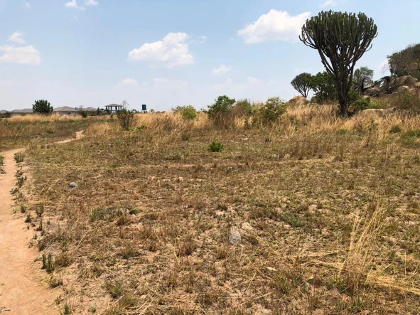 Farm & Agricultural Land