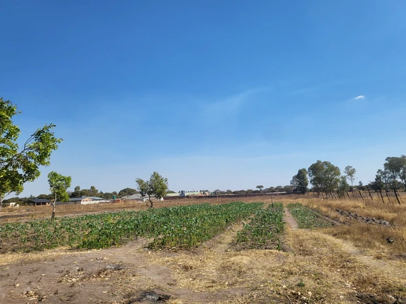 Farm & Agricultural Land