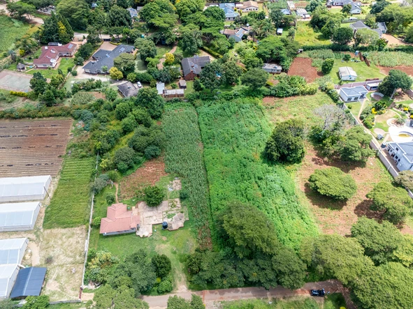 Stands & Residential Land